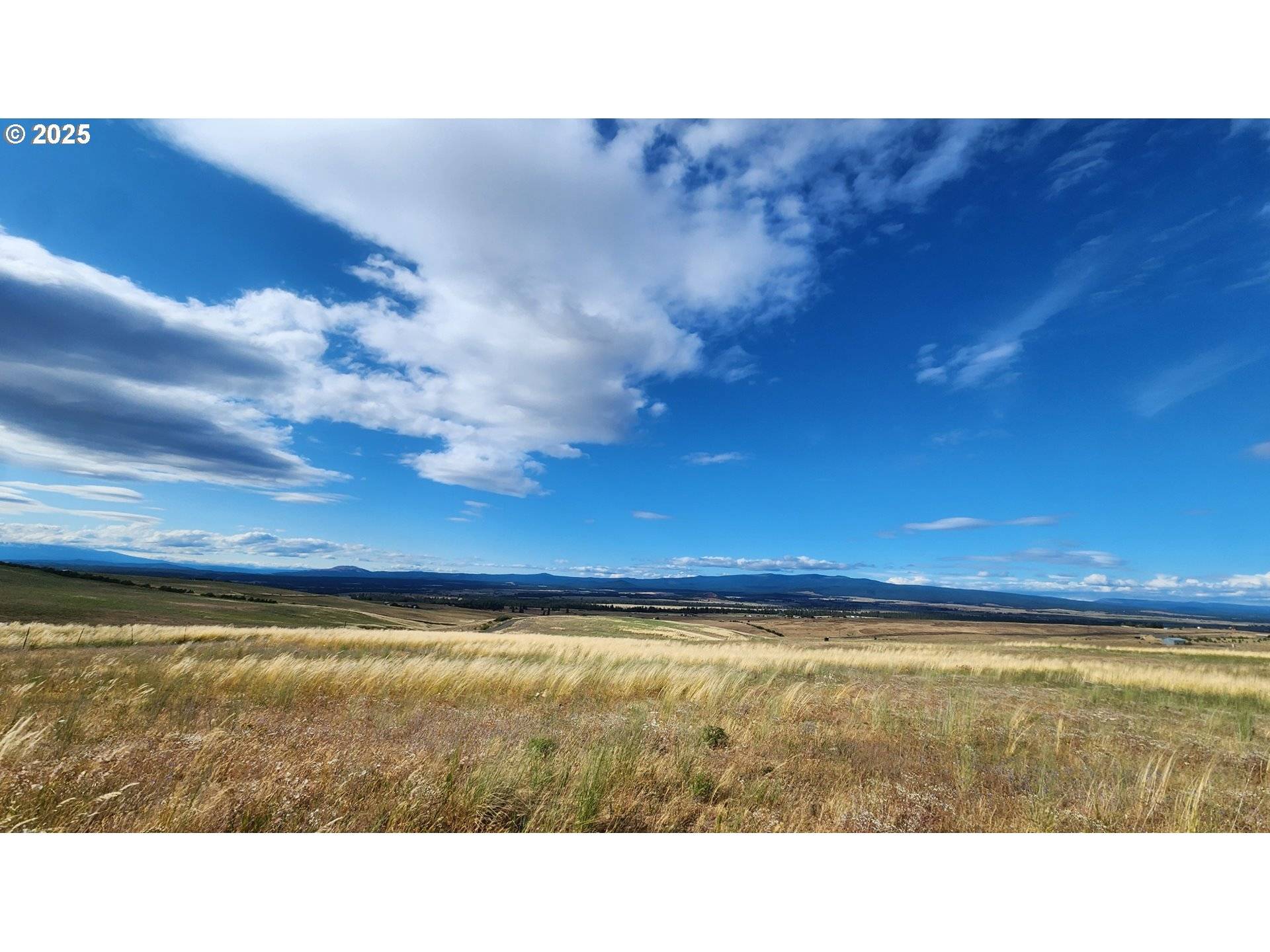 NKA Shull Ranch Rd, Centerville, WA 98613