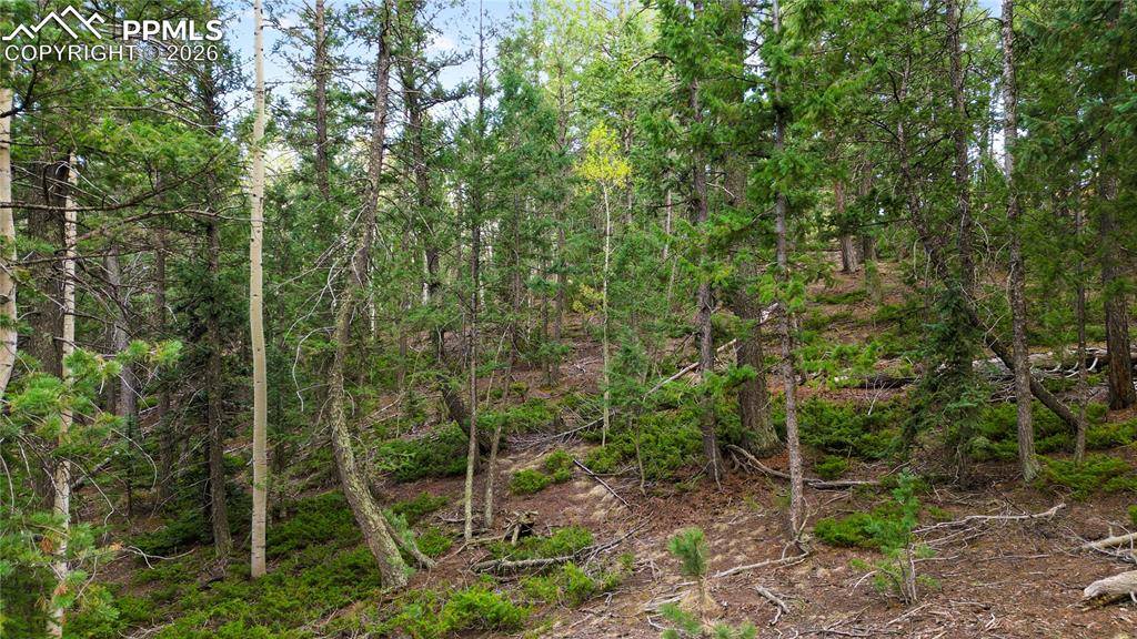 68 Yale PL, Woodland Park, CO 80863