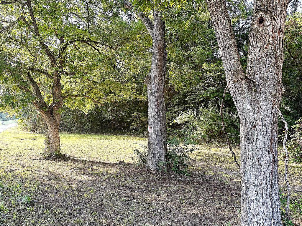 TBD Lil Arkansas Road, Bells, TX 75414