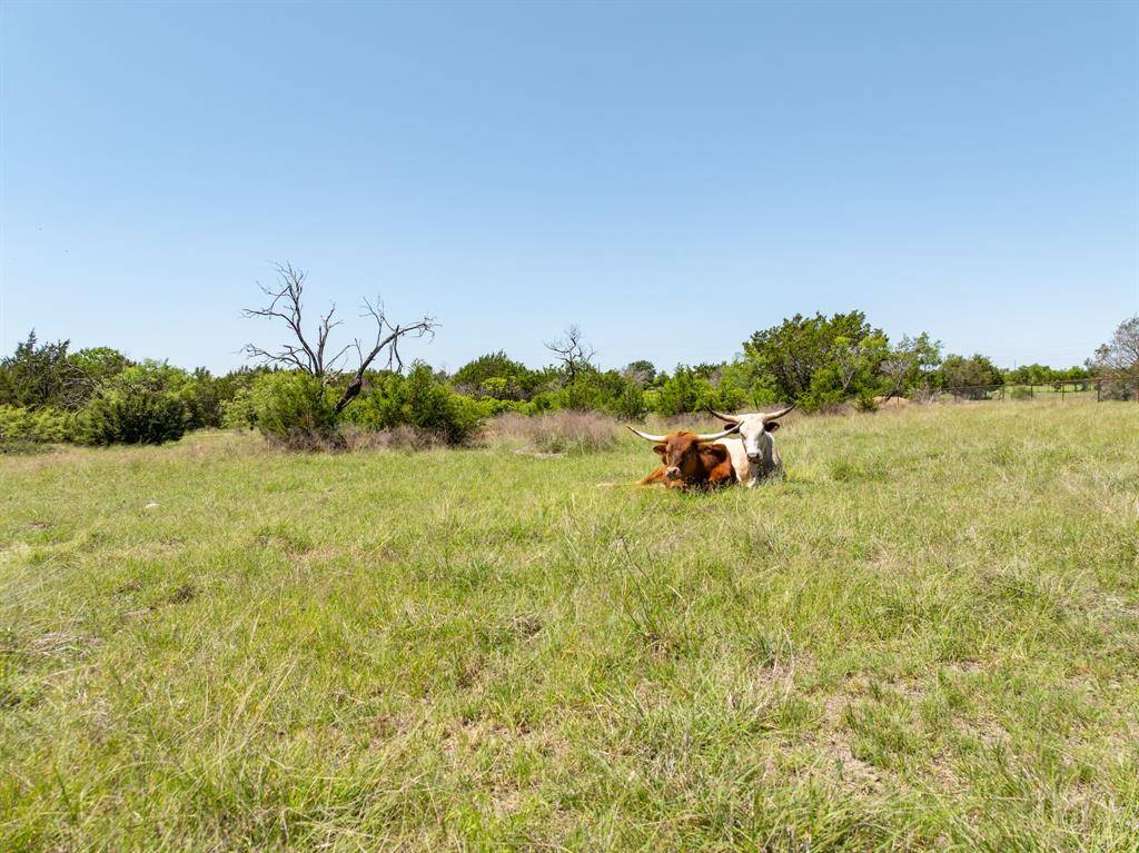 1960 W McCaleb Lane, Hamilton, TX 76531