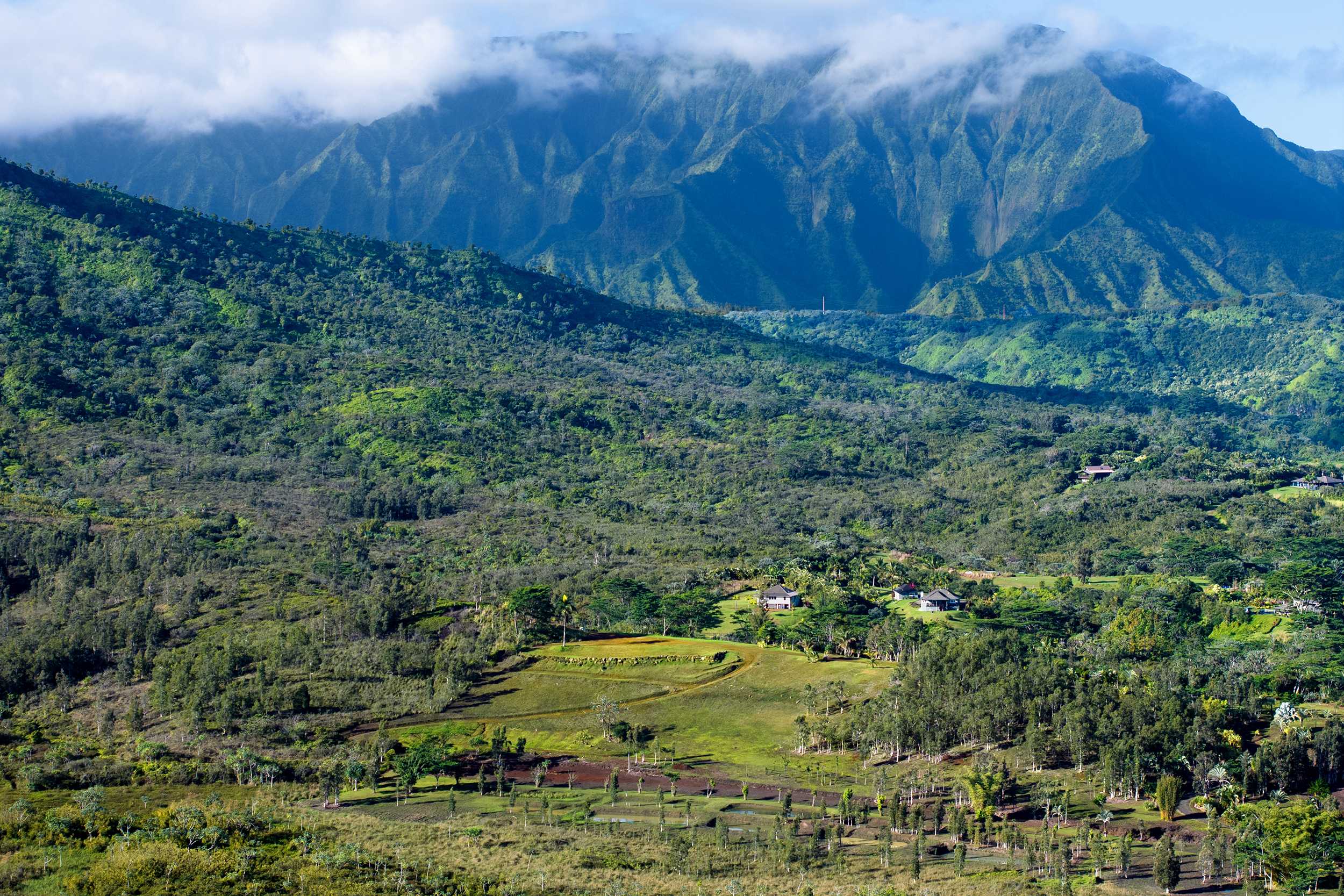 2818 KAMOOKOA RD #5, Kilauea, HI 96722