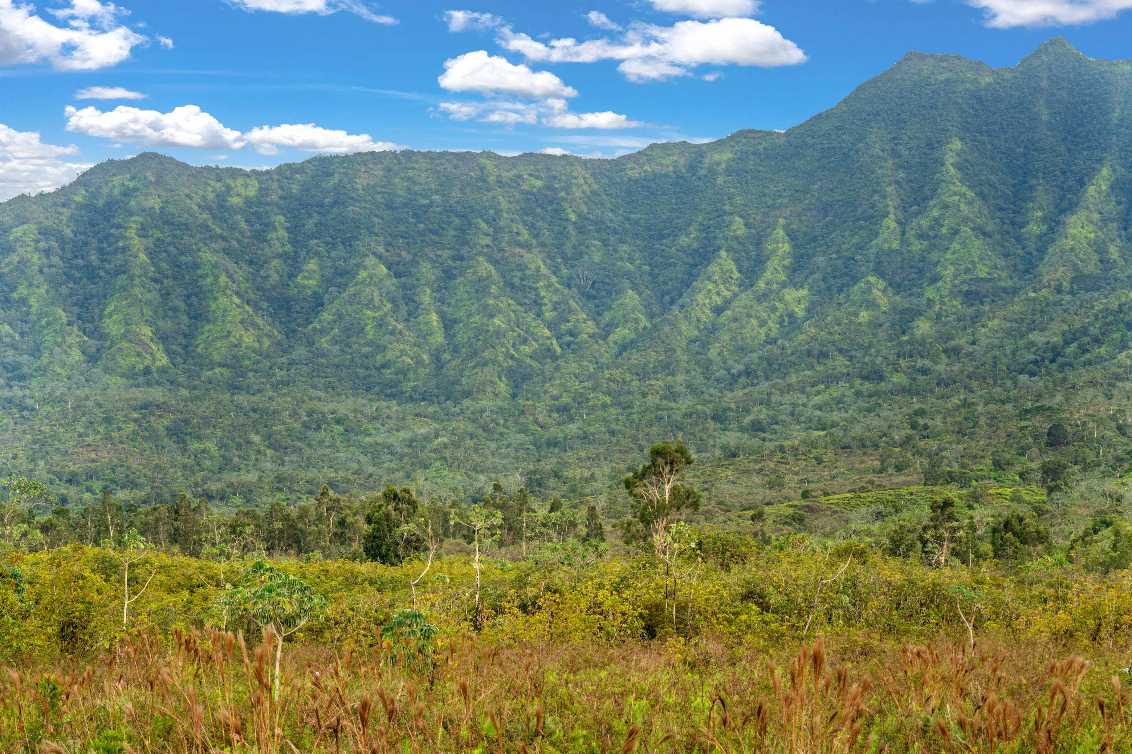 2818 KAMOOKOA RD #5, Kilauea, HI 96722