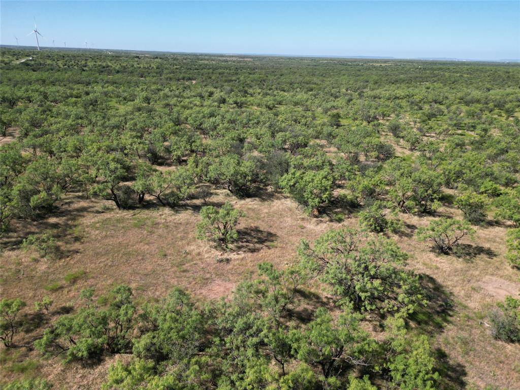 TBD Highway 206, Cisco, TX 76437