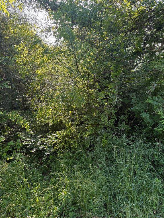 10946 Clover Lane, Berryville, TX 75763