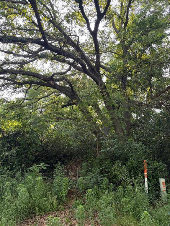 10946 Clover Lane, Berryville, TX 75763