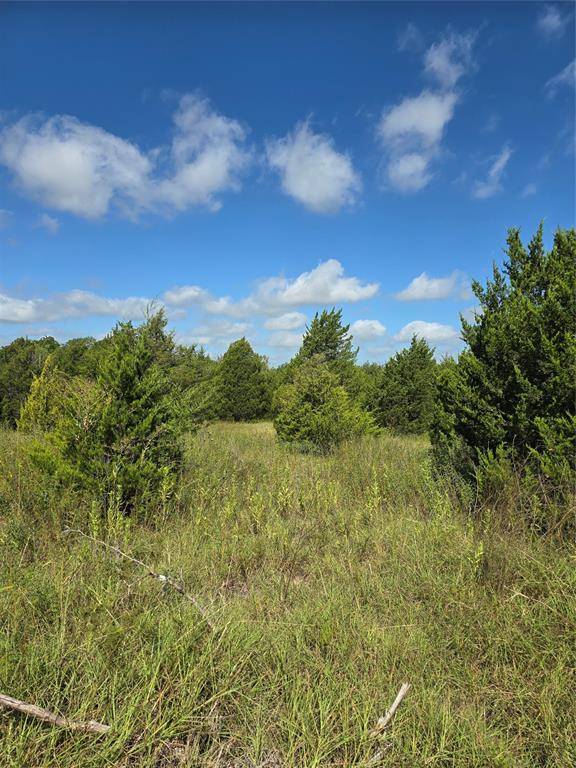 3694 County Road 1103, Celeste, TX 75423