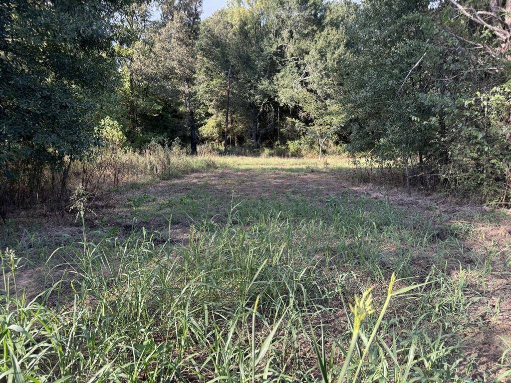 000 CR 2362, Bagwell, TX 75412