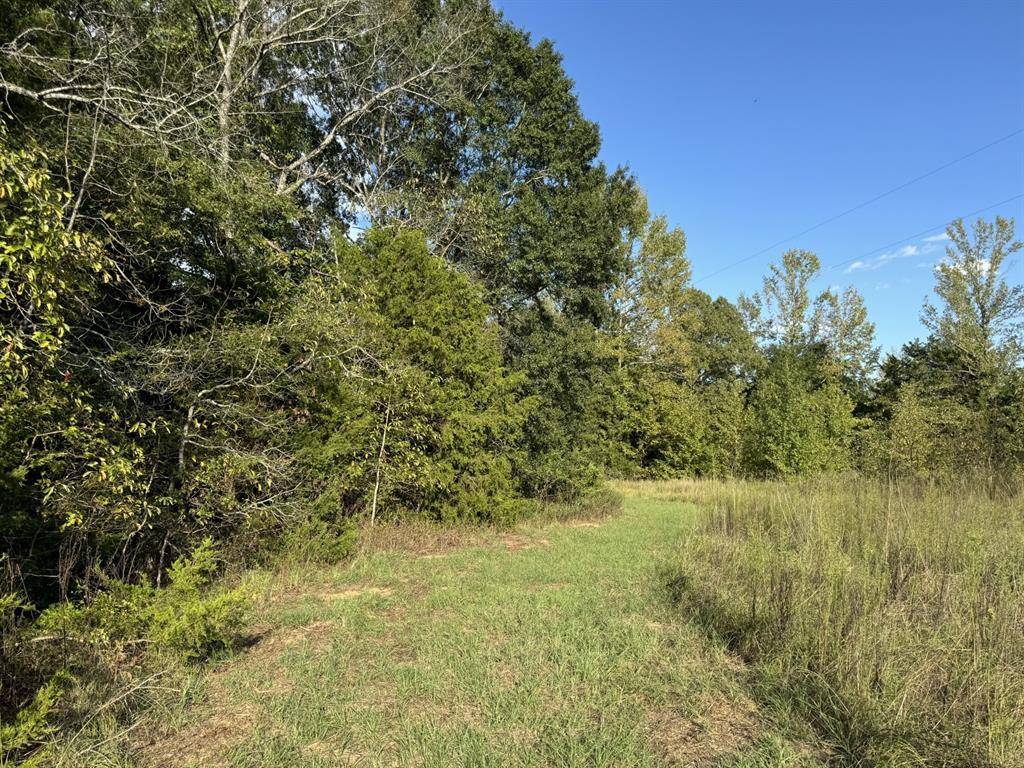 000 CR 2362, Bagwell, TX 75412