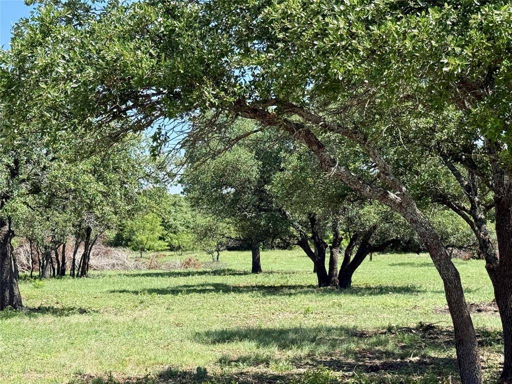 TBD Hwy 67-377, Blanket, TX 76432