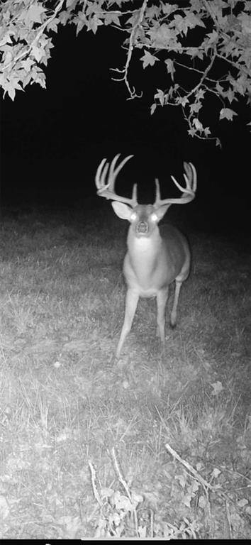 TBD CR 2737, Naples, TX 75568