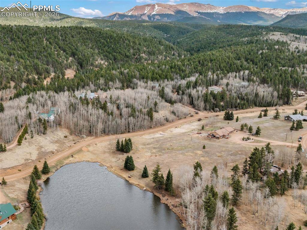 689 Divide South DR, Divide, CO 80814