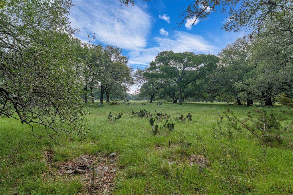 254 Guadalupe Drive, Oglesby, TX 76561