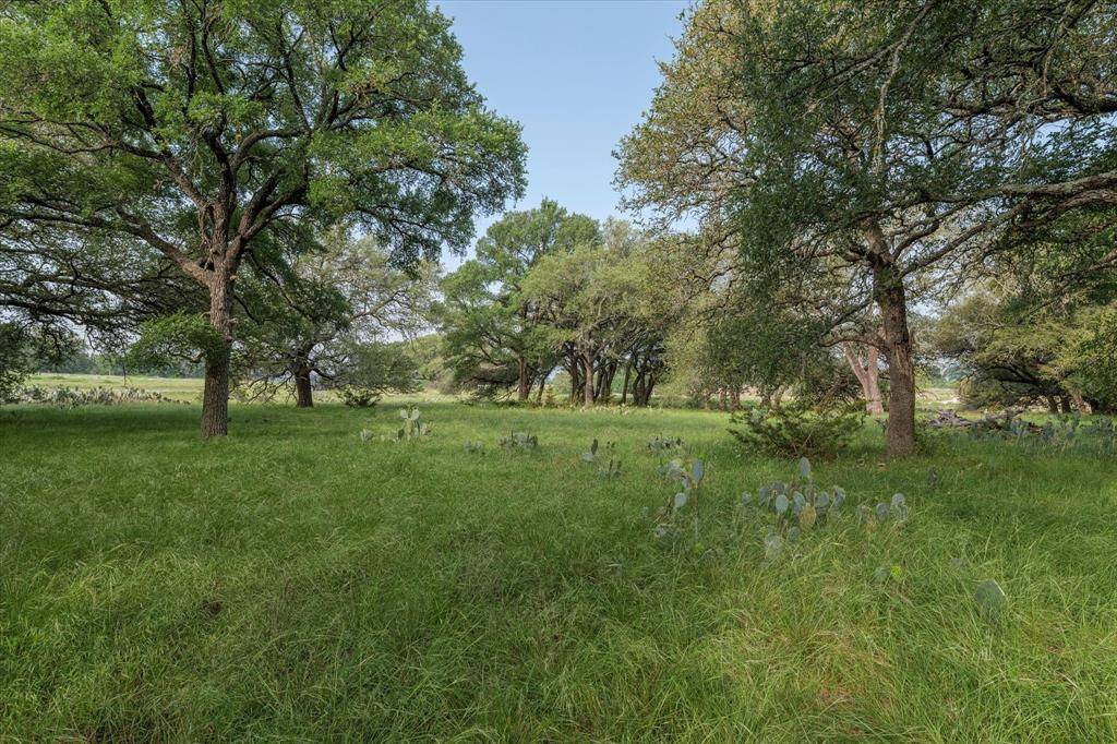 254 Guadalupe Drive, Oglesby, TX 76561