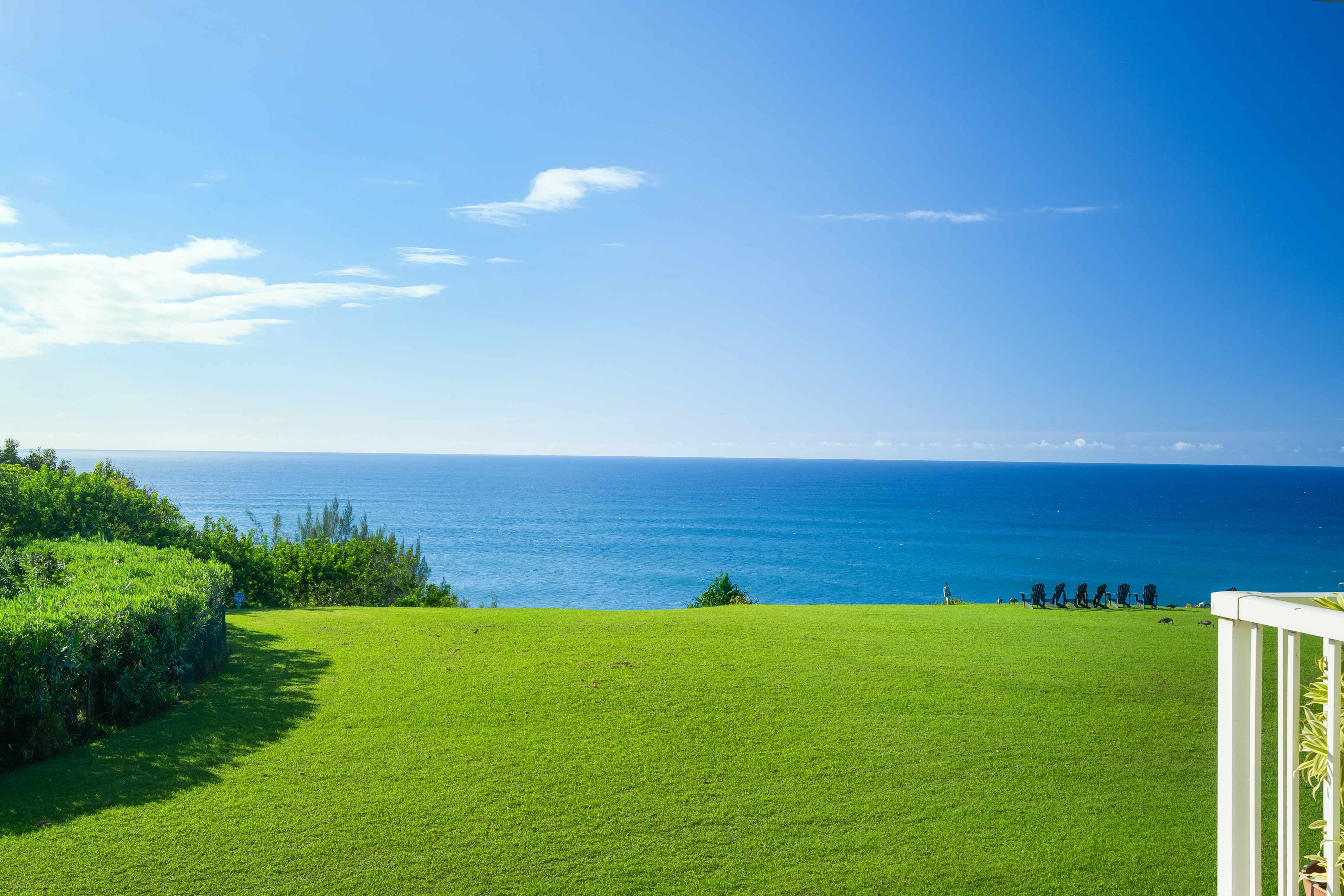3811 EDWARD RD #9203, Princeville, HI 96722