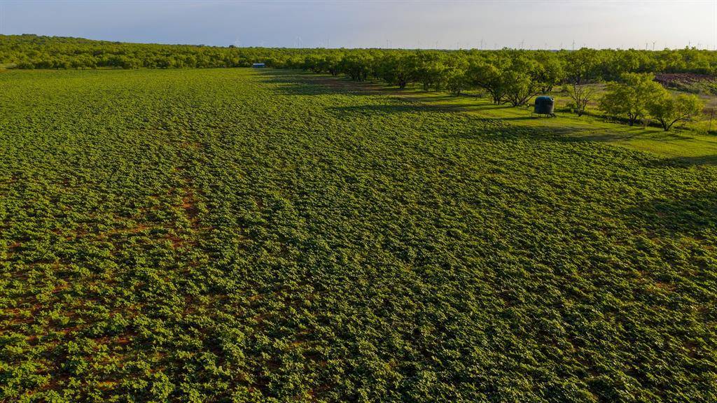 10000 Fm 209, Graham, TX 76450