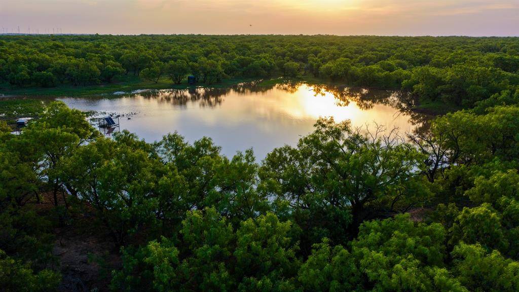 10000 Fm 209, Graham, TX 76450