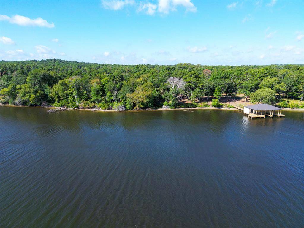 3146 Shadow Pine Drive, Larue, TX 75770
