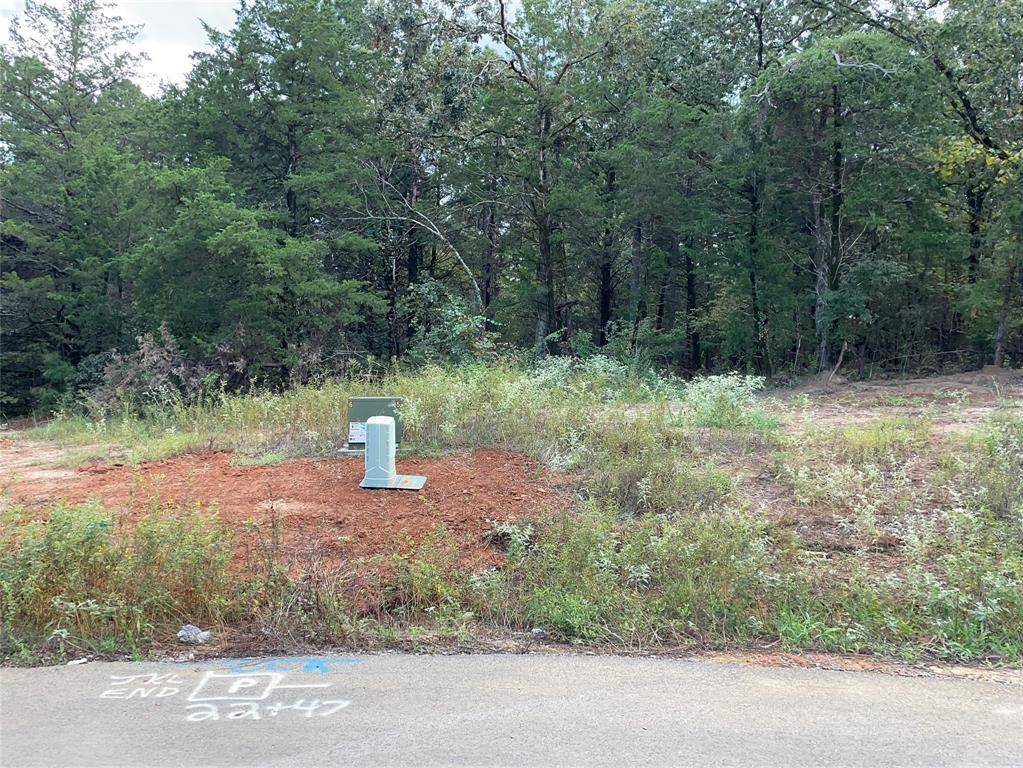 Lot 21 TBD Cedarpark Place, Lindale, TX 75771
