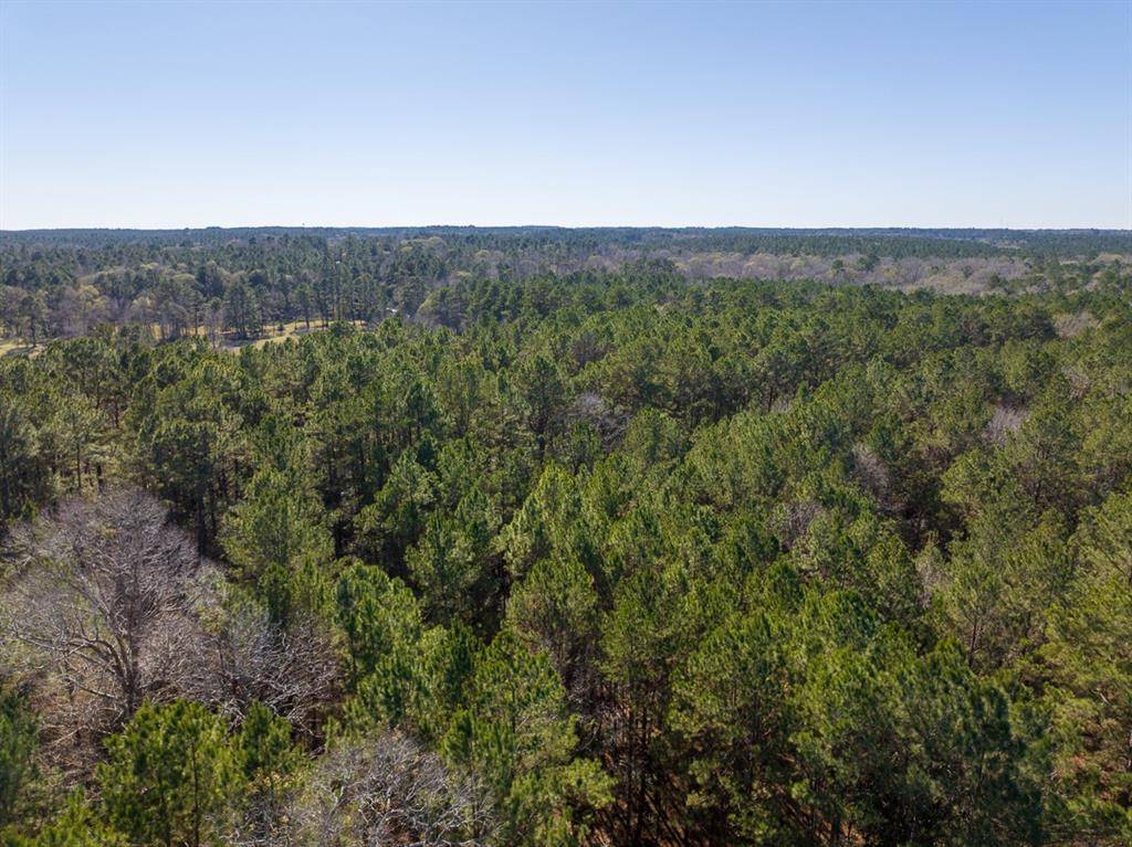 3320 Farm to Market 3065, Colmesneil, TX 75938