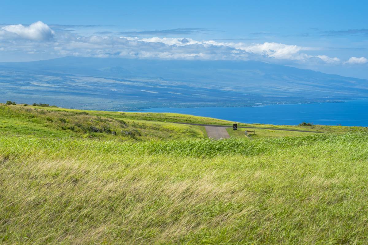 59-1121 KALAMA WAY, Kamuela, HI 96743