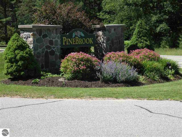 6865 Pinebrook, Custer Twp, MI 49615