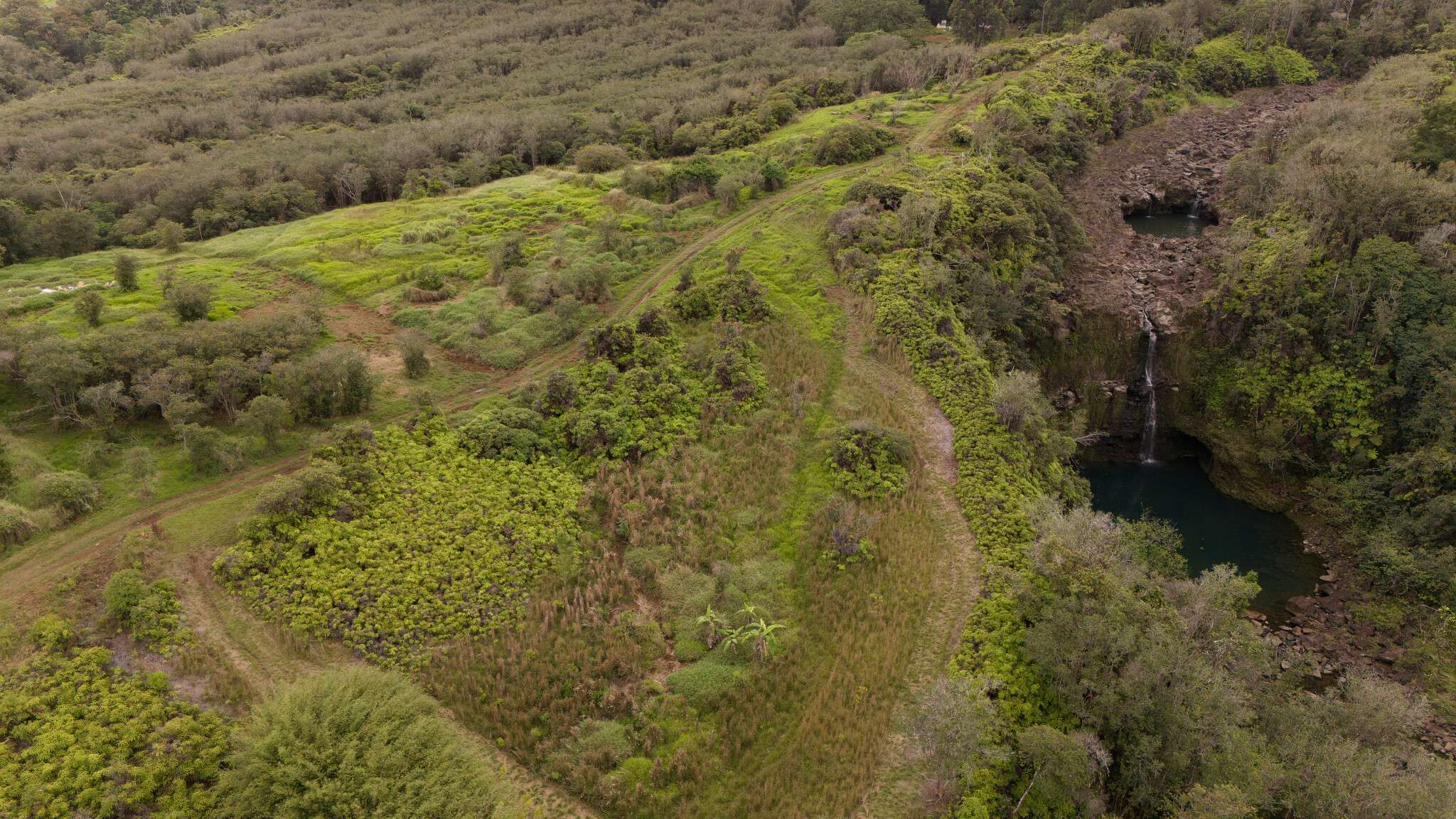 32-1175 AINA WAI RD, Ninole, HI 96773
