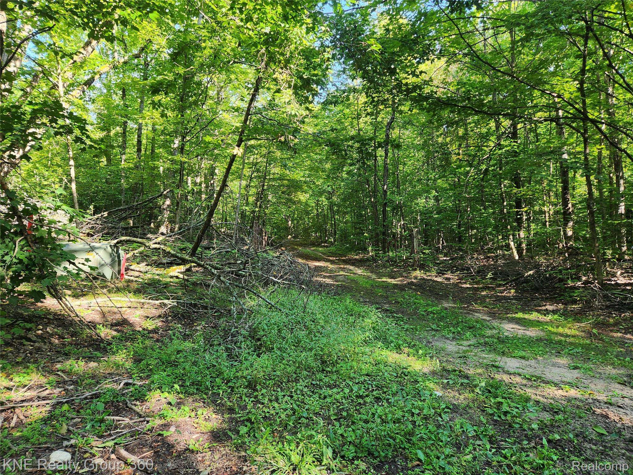 0 44.852916/-84.742739, Frederic Township, MI 49733