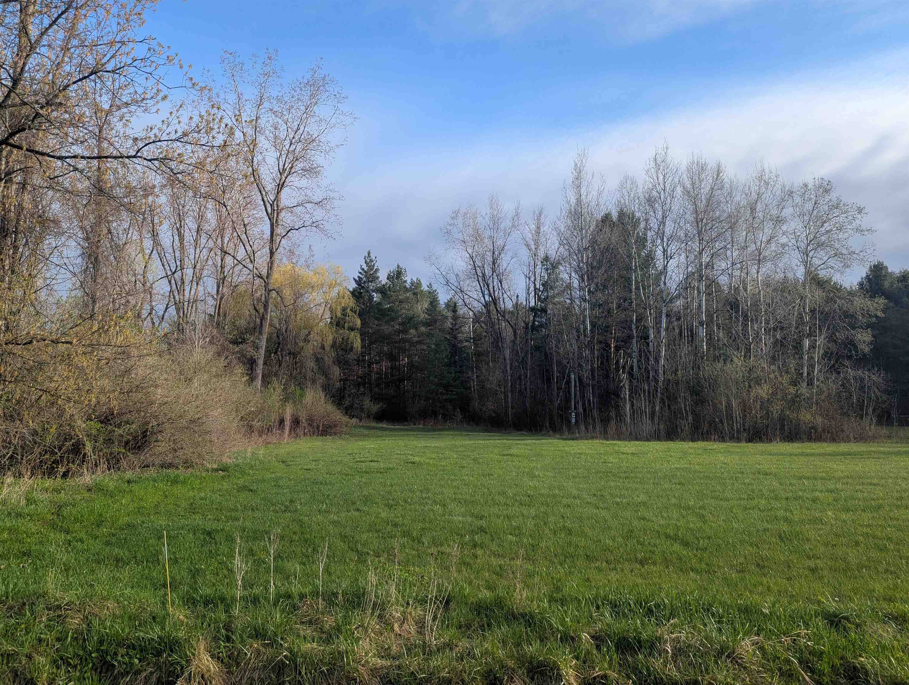 N/A Pine ST, Arenactownship_arenac, MI 48749