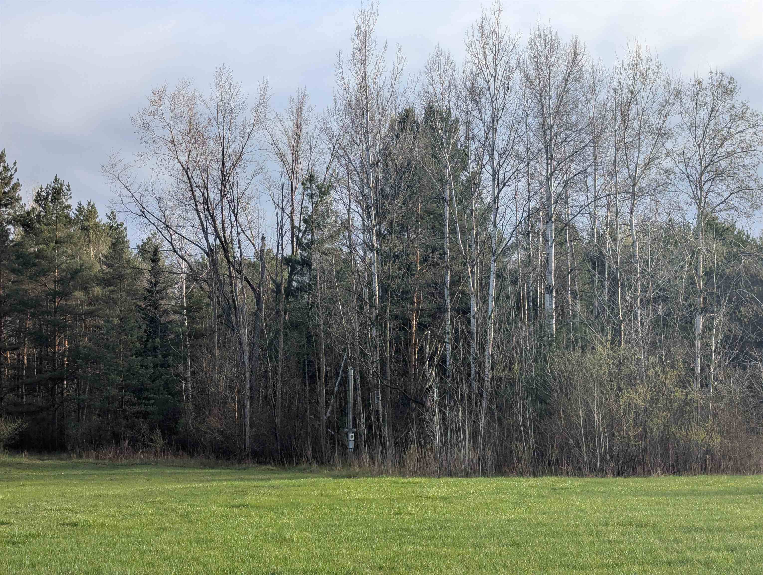 N/A Pine ST, Arenactownship_arenac, MI 48749