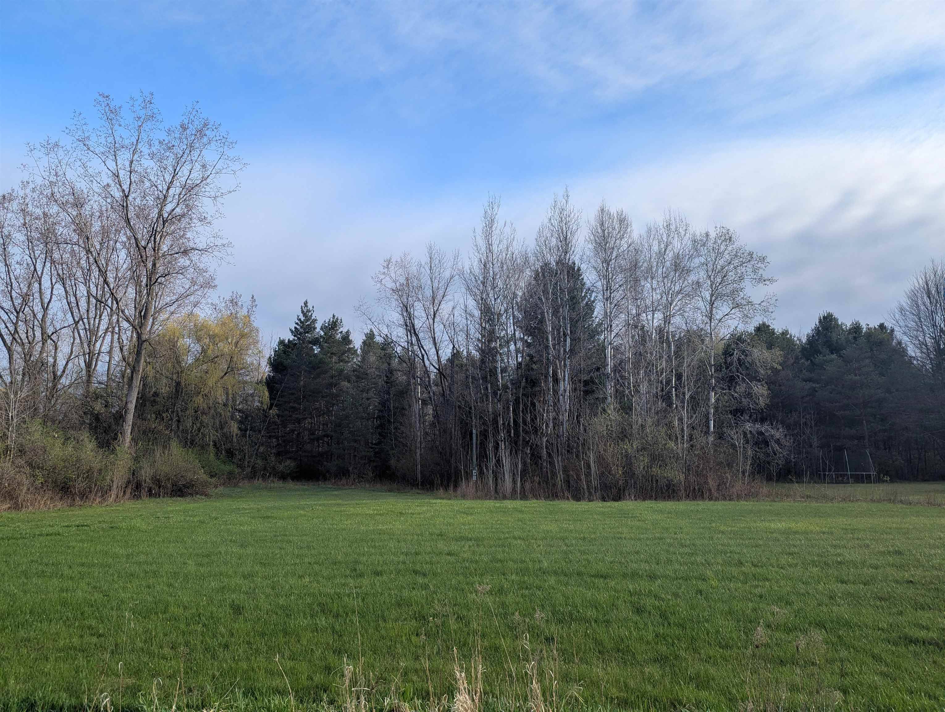 N/A Pine ST, Arenactownship_arenac, MI 48749