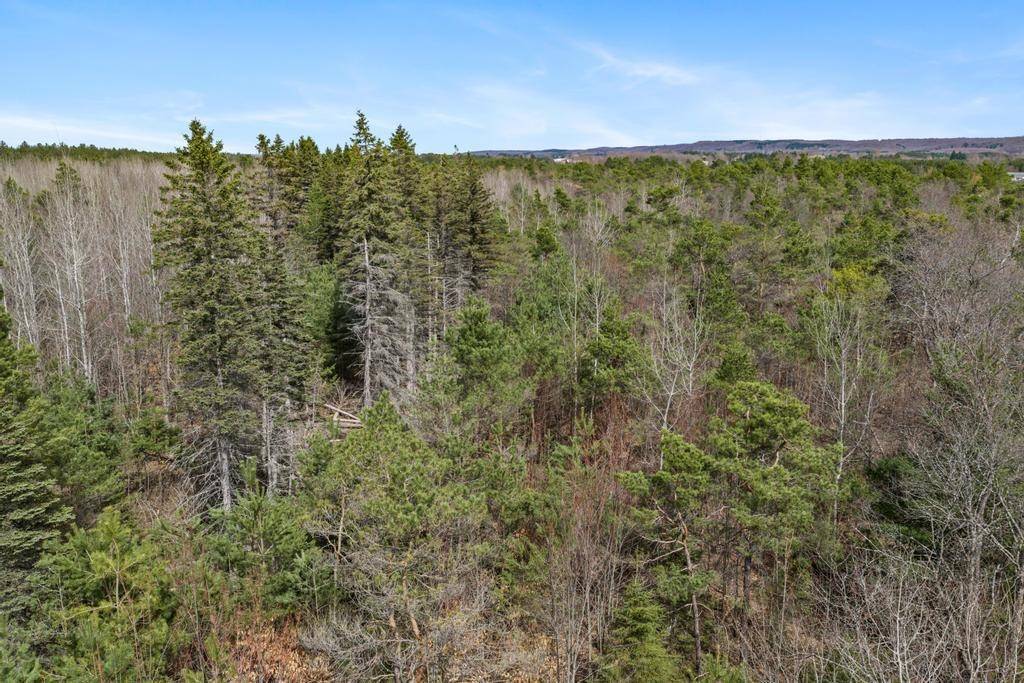 V/L Johnson RD, Mancelonatownship_antrim, MI 49659