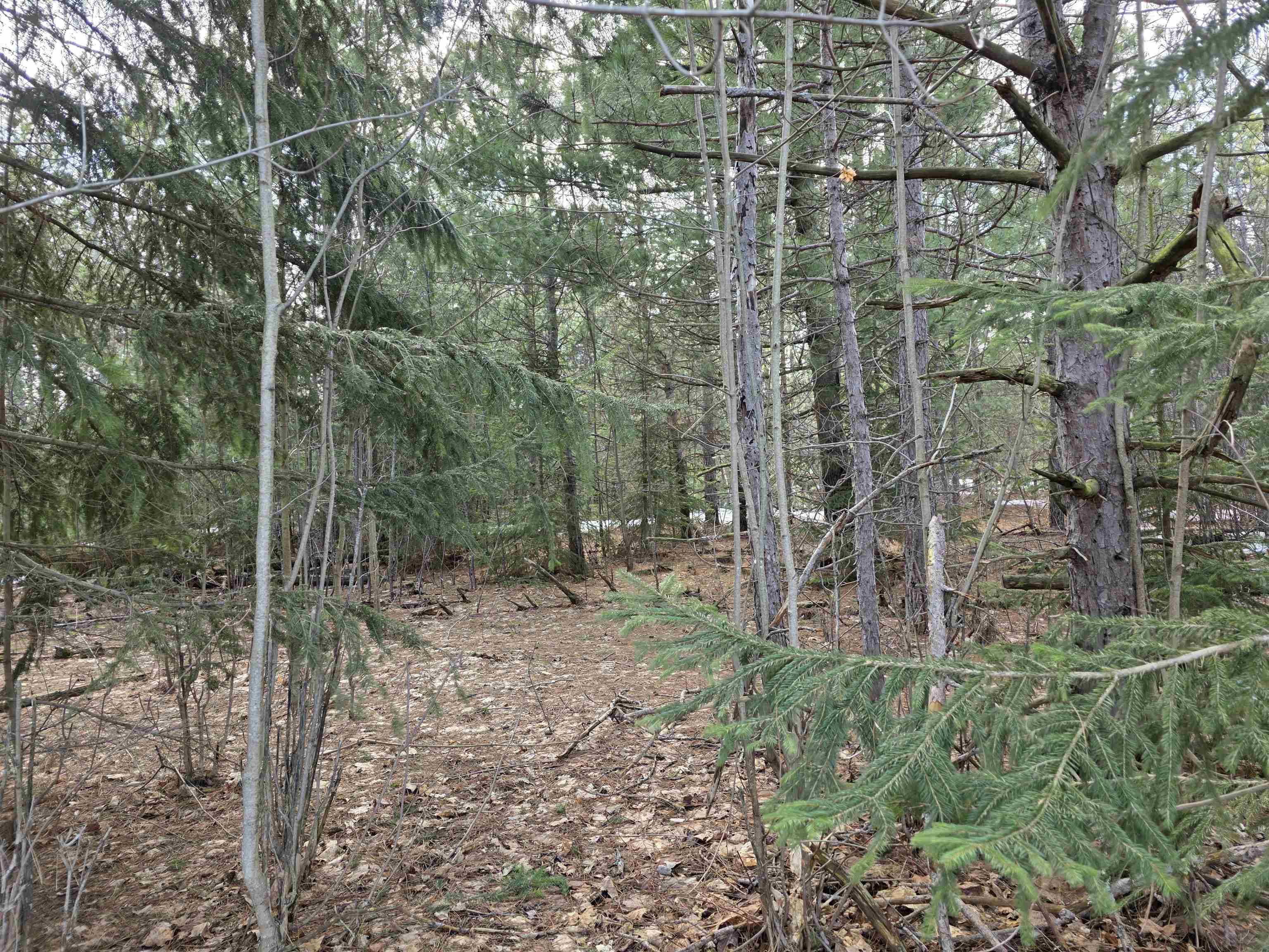 0001 Cedar River RD, Mancelonatownship_antrim, MI 49659