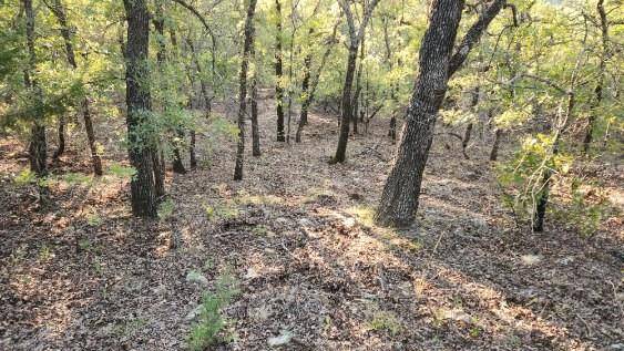 411 Mountain View Court, Sunset, TX 76270