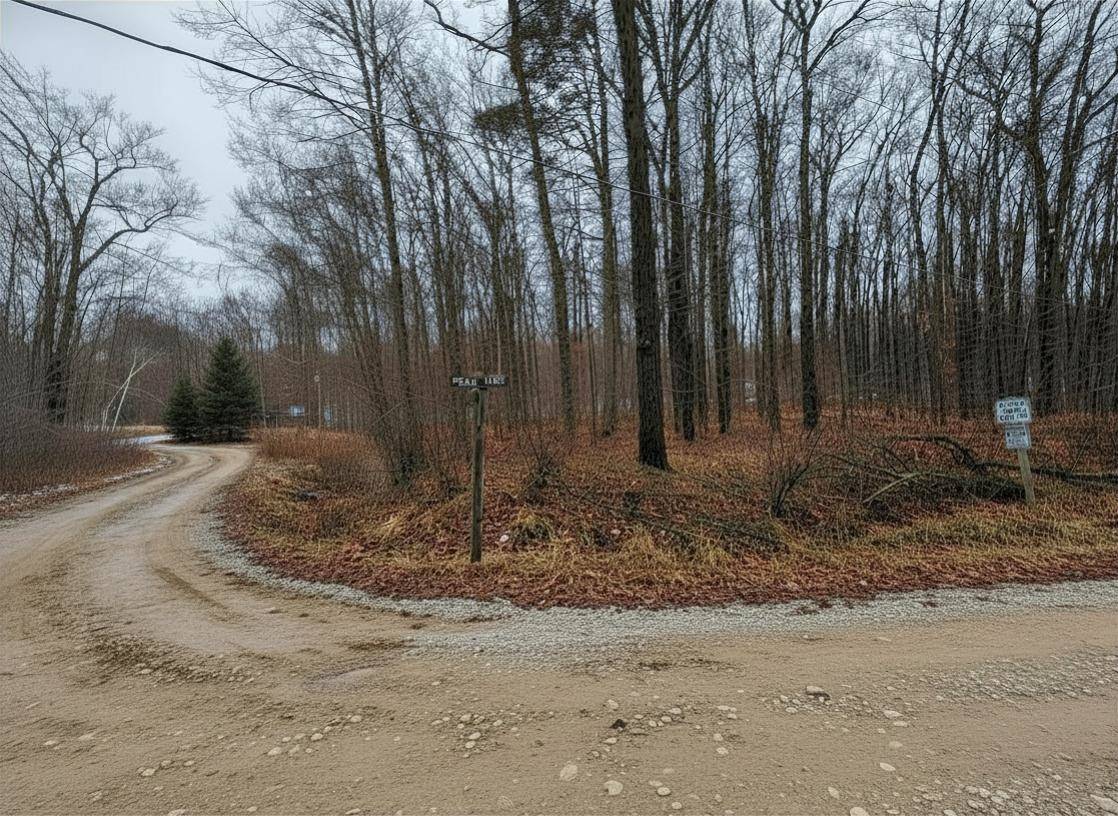 Lot 40 Squirrel RUN, Lincolntownship_clare, MI 48622