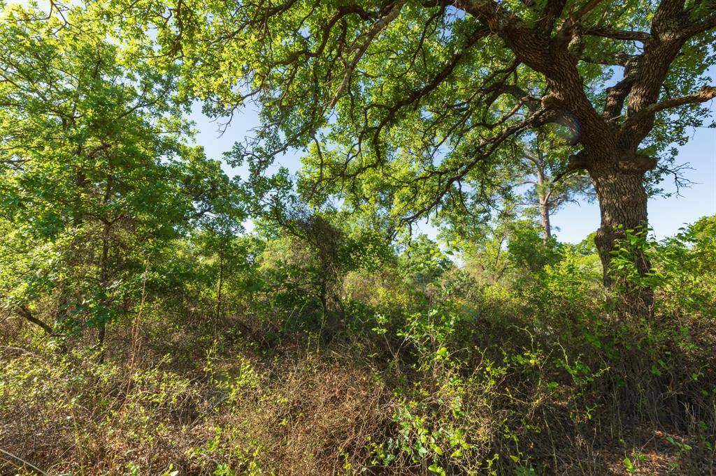 TBD Private Road 705, Anson, TX 79501