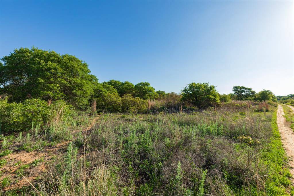 TBD Private Road 705, Anson, TX 79501