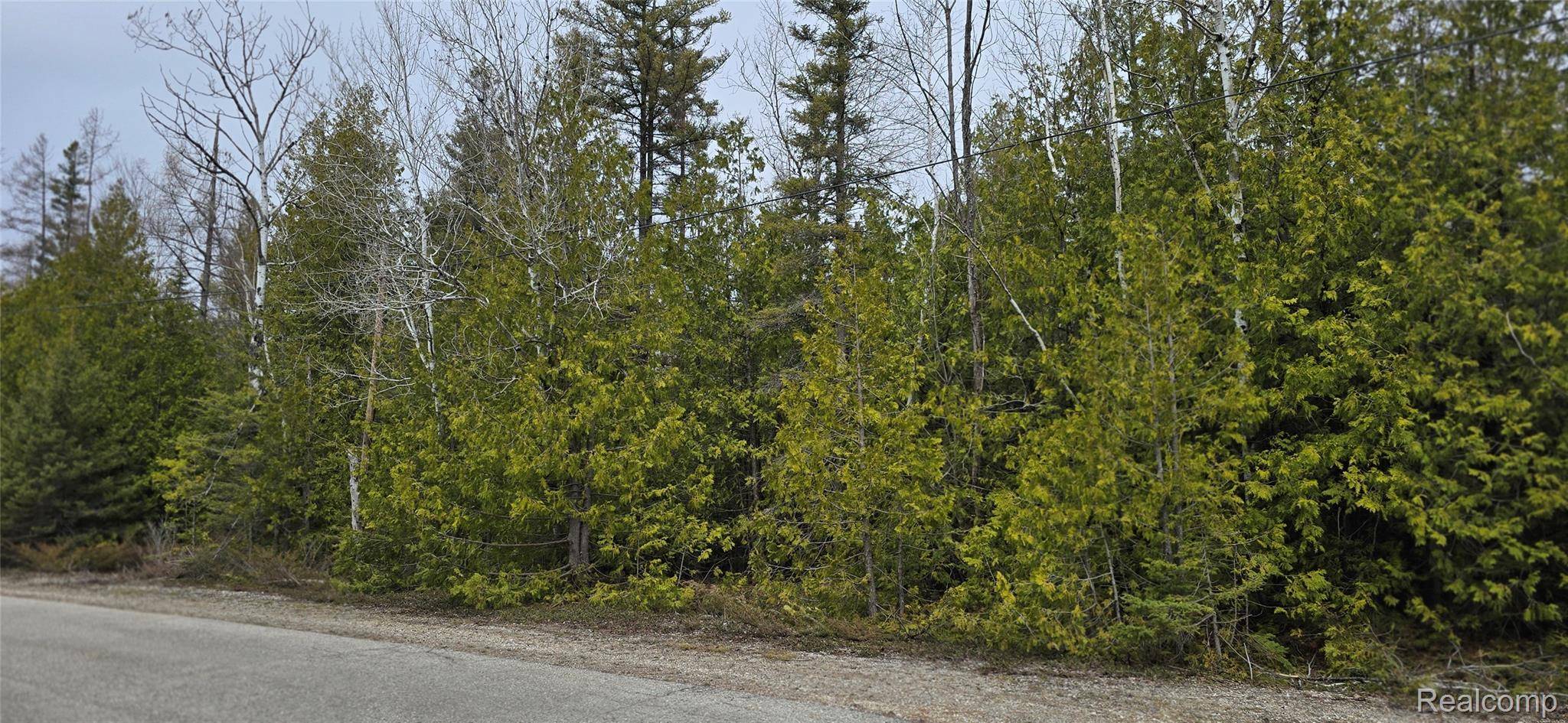 VL Lot 332 Balsam DR, Presque Isle Township, MI 49777