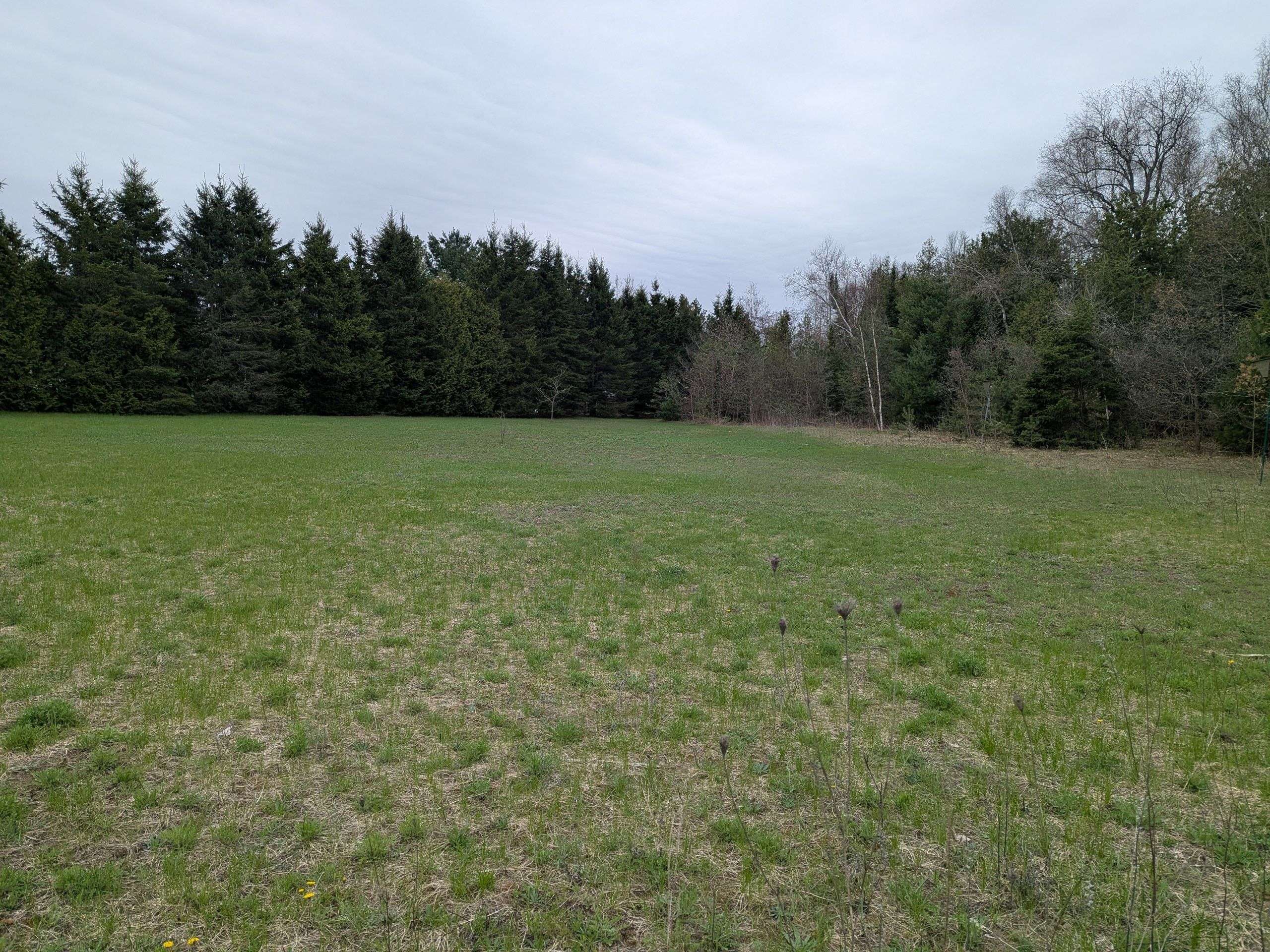 6 Tioga BLVD, Adjala-tosorontio, ON L0M 1J0