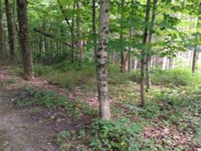 ***** Buckaroo TRL, Bay Twp, MI 49770