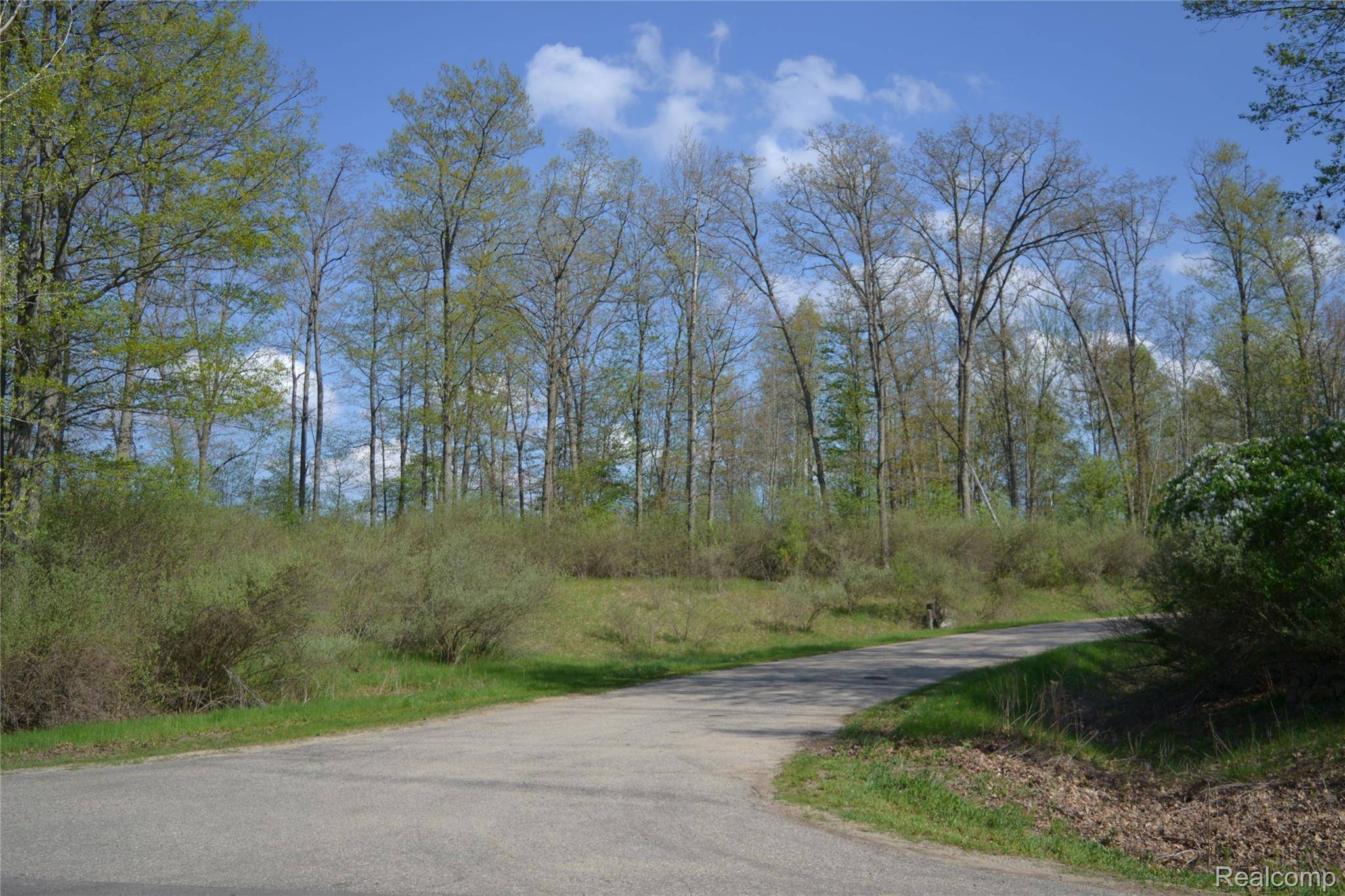 00 Oak Ridge CT, Mills Twp, MI 48756