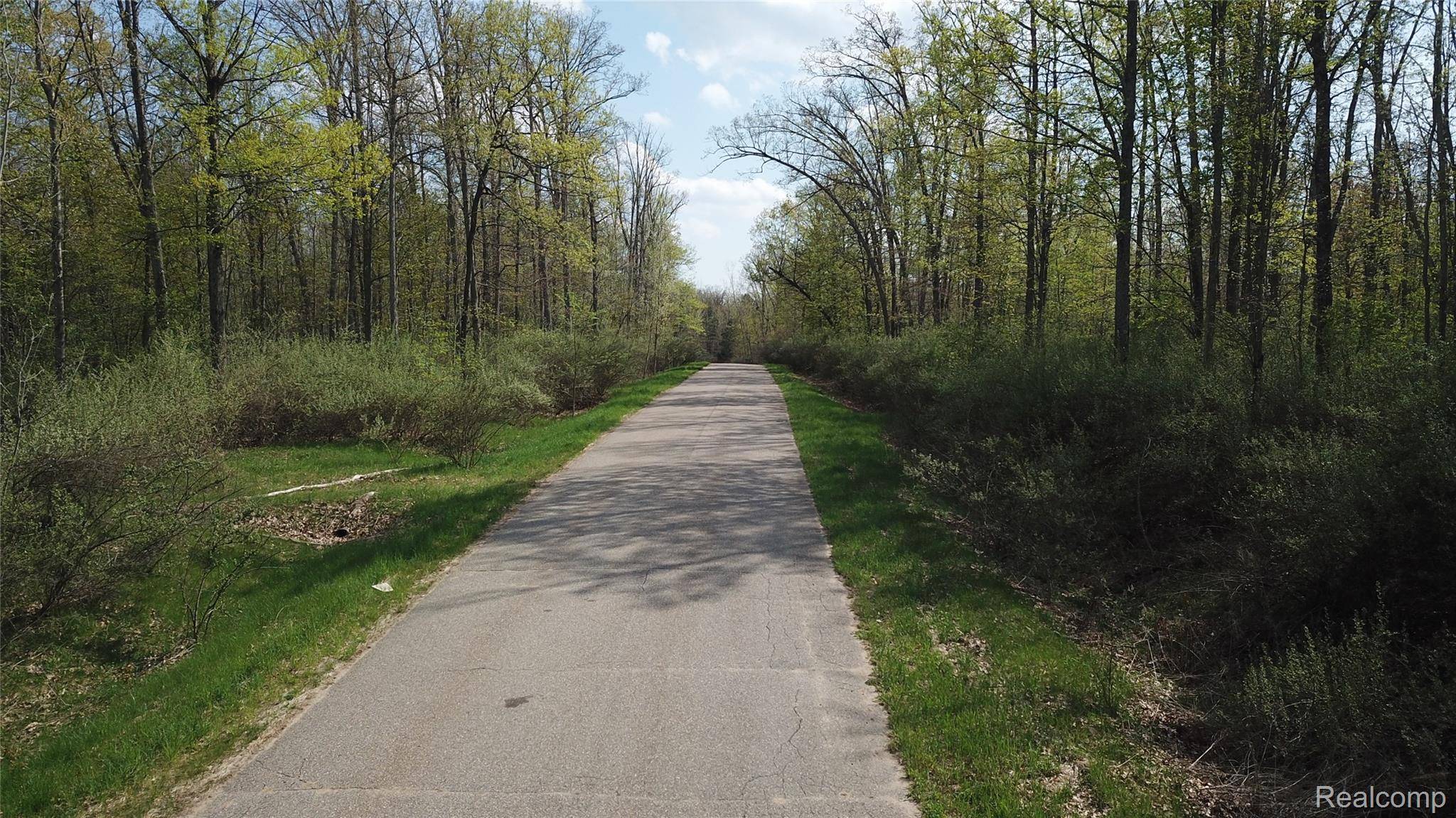 00 Oak Ridge CT, Mills Twp, MI 48756
