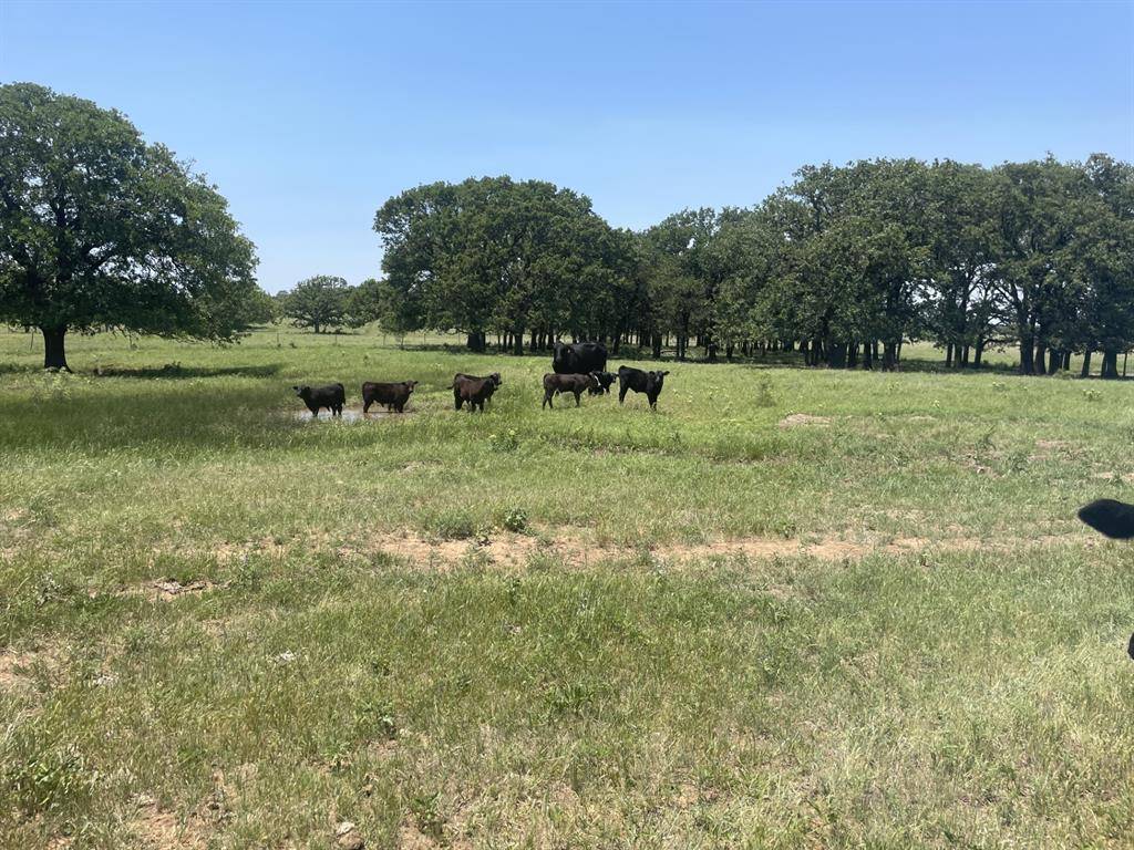 4730 Bugscuffle Road, Bowie, TX 76240
