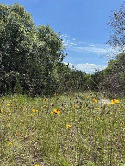 1015 Bluegill Ridge, Bluff Dale, TX 76433