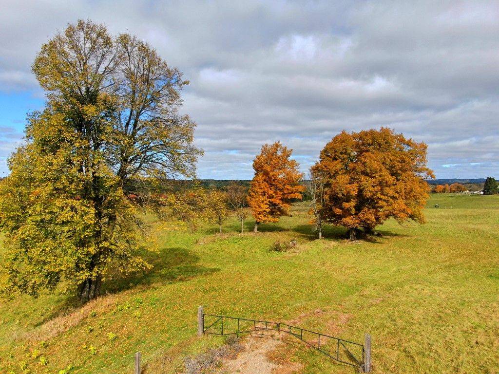 649 Detlor RD, Bancroft, ON K0L 2L0
