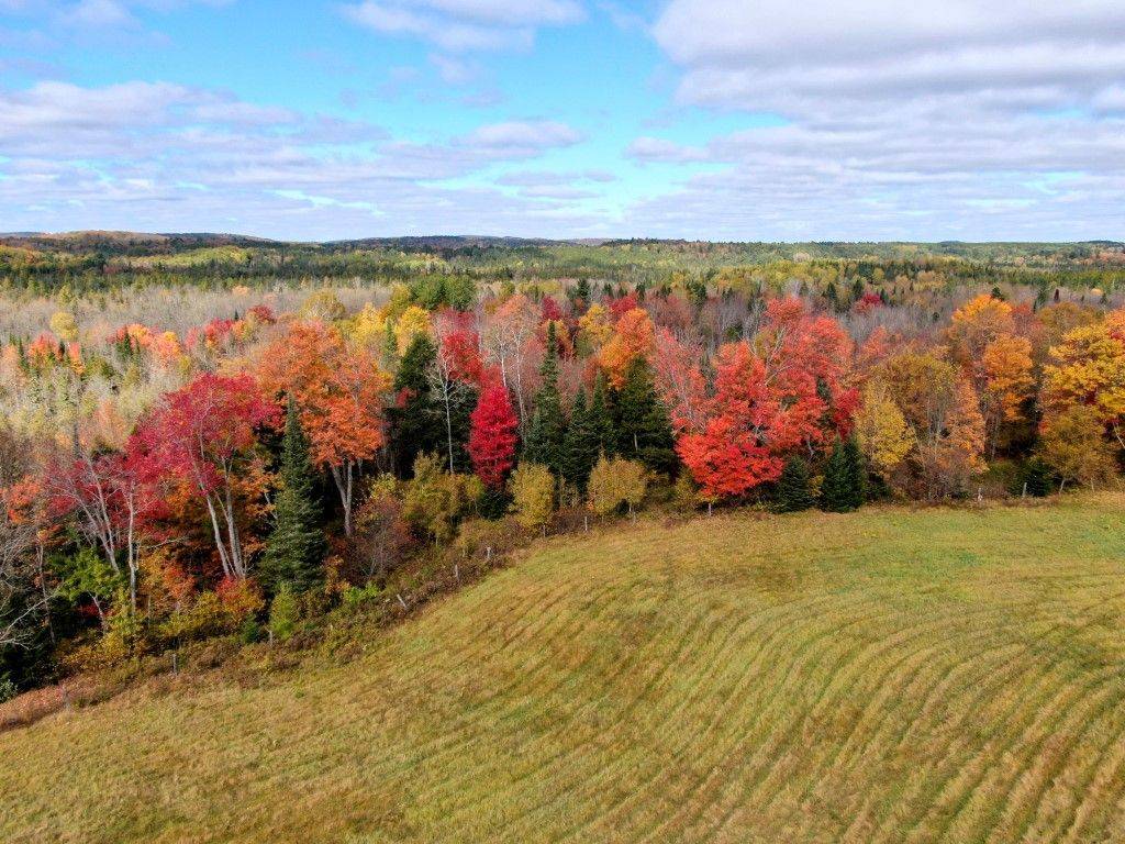 649 Detlor RD, Bancroft, ON K0L 2L0