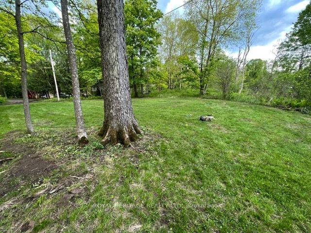 0 Cottage LN, Tweed, ON K0K 3J0
