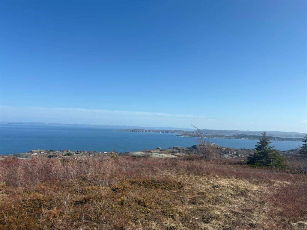 0 Farm Road, Upper Island Cove, NL A0A 4E0