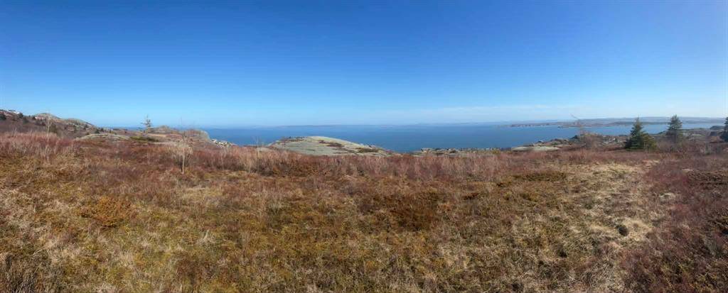 0 Farm Road, Upper Island Cove, NL A0A 4E0