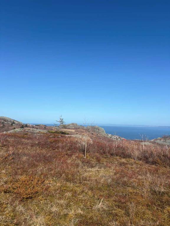 0 Farm Road, Upper Island Cove, NL A0A 4E0