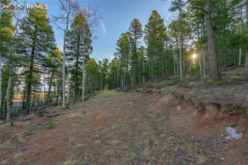 88 Malmsey LN, Divide, CO 80814